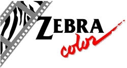 Zebra-Color Inc