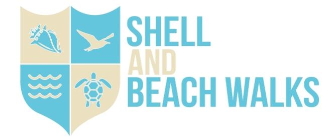 Shell and Beach Walks